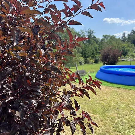 U Linhartovy Obory - Tuhnice U Lesa Hébergement de vacances