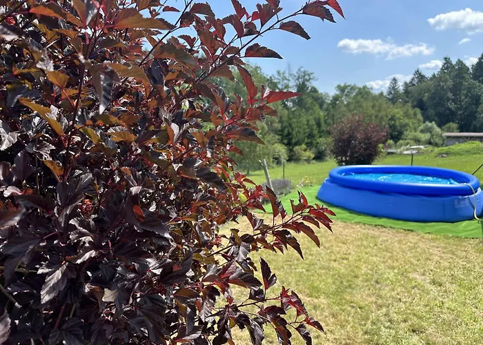 U Linhartovy Obory - Tuhnice U Lesa Hébergement de vacances